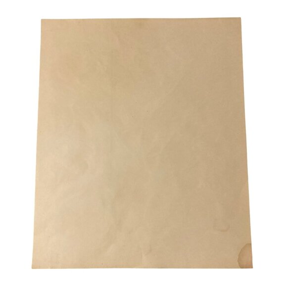 Roeland Koning Listed Artist Magnolia Flower Still Life Print - Picture 6 of 8